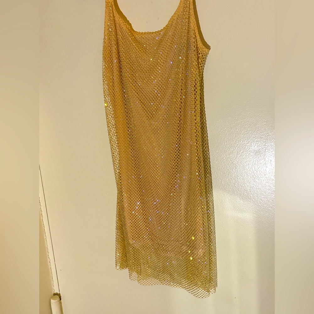 Elegant Gold Mesh Dress and gold purse
